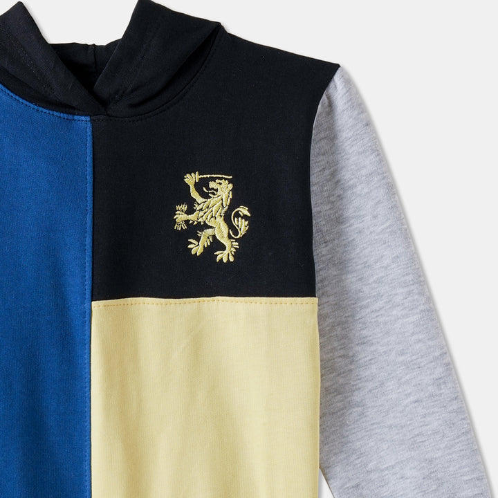 Blue/Black Color-Block Hoodie for Boys