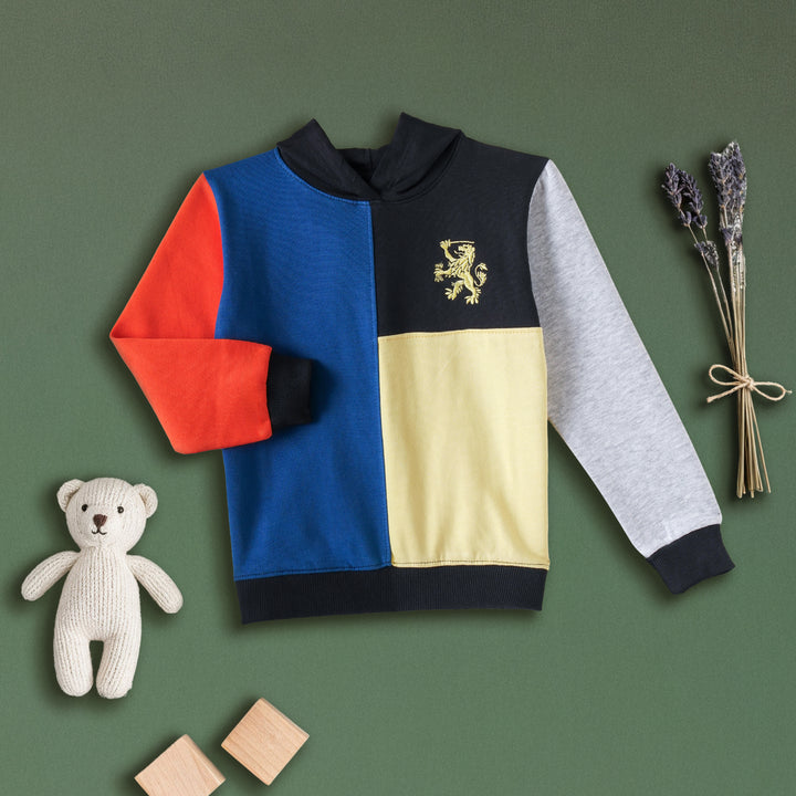 Blue/Black Color-Block Hoodie for Boys