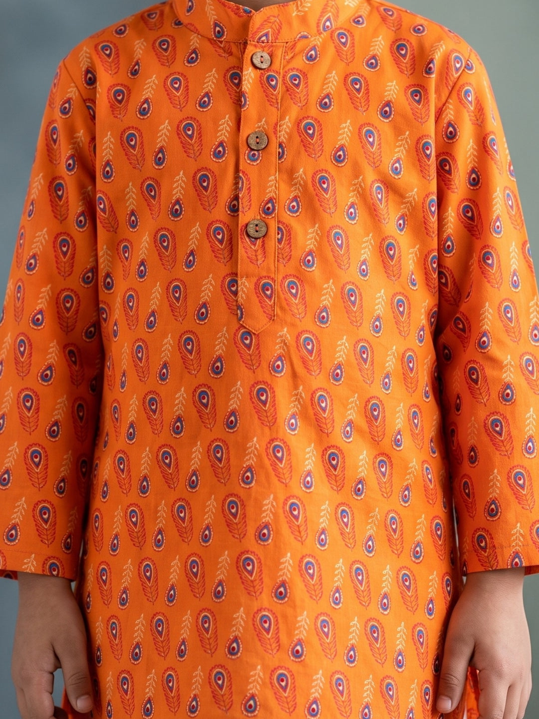 Orange Peacock Feather Print