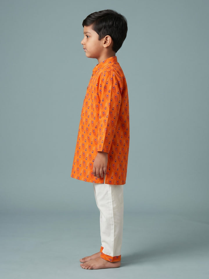Orange Peacock Feather Print