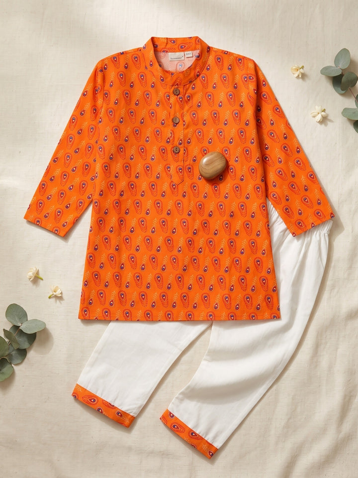 Orange Peacock Feather Print